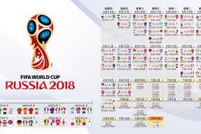 九游游戏网-新星闪耀，老牌劲旅待发——阿扎伦卡式惊艳与德国队的复兴之路